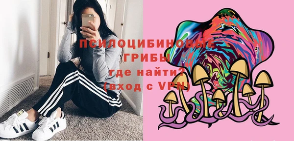 соль ск Алексин