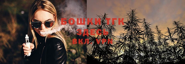 соль ск Алексин