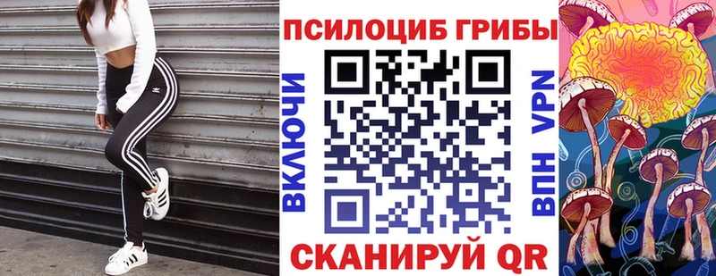 Псилоцибиновые грибы прущие грибы  ссылка на мегу зеркало  Наволоки  сколько стоит 